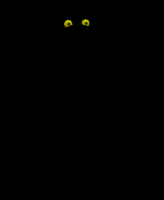 black panther
